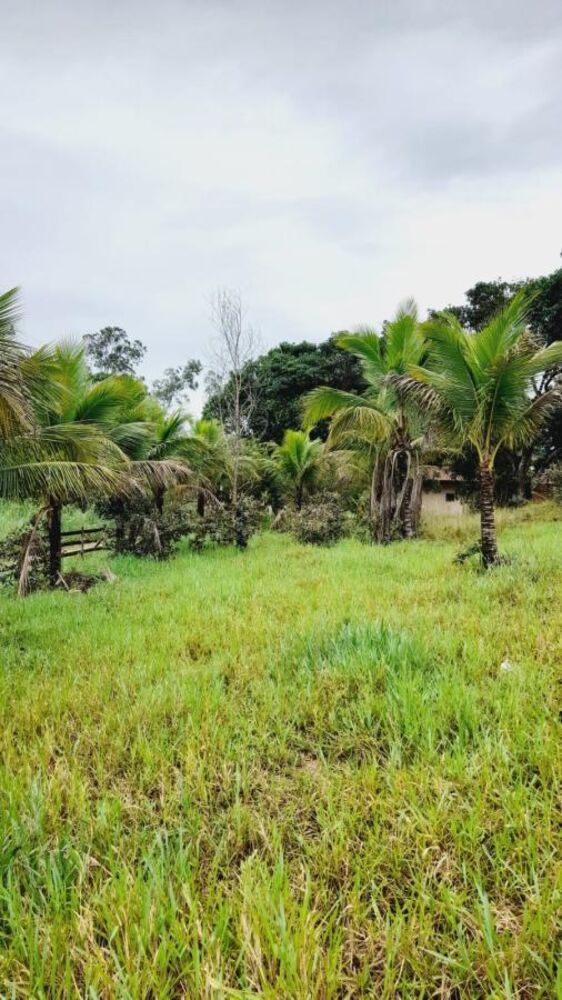 Sítio à venda com 4 quartos, 45000m² - Foto 11