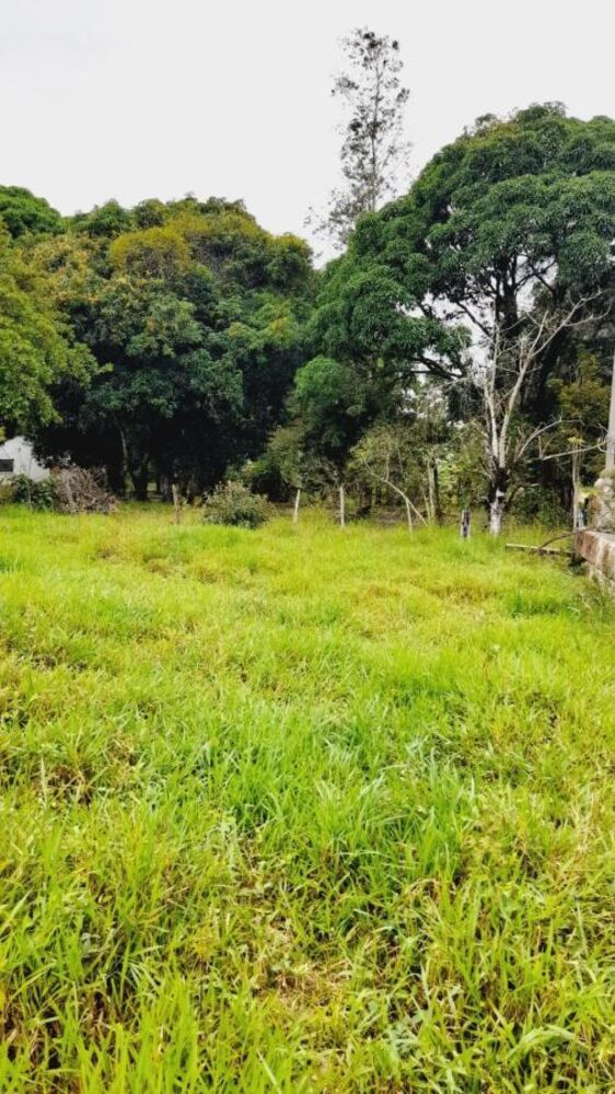 Sítio à venda com 4 quartos, 45000m² - Foto 6