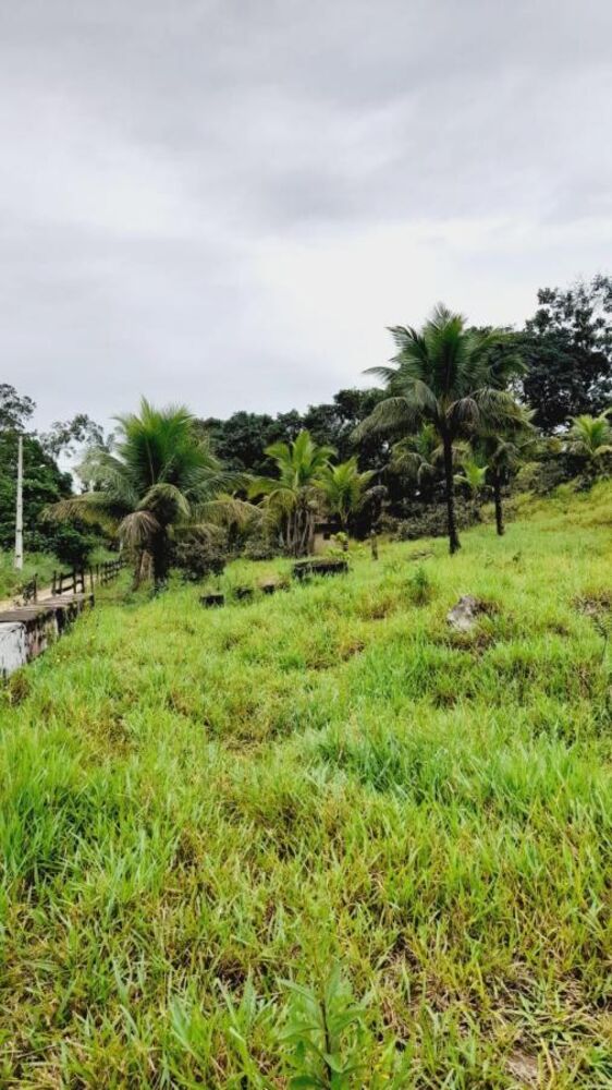 Sítio à venda com 4 quartos, 45000m² - Foto 7
