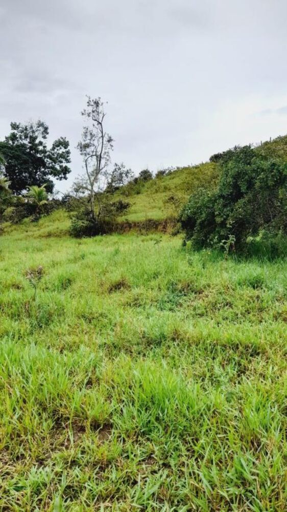 Sítio à venda com 4 quartos, 45000m² - Foto 8