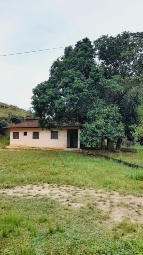 Sítio, 4 quartos, 5 hectares - Foto 3