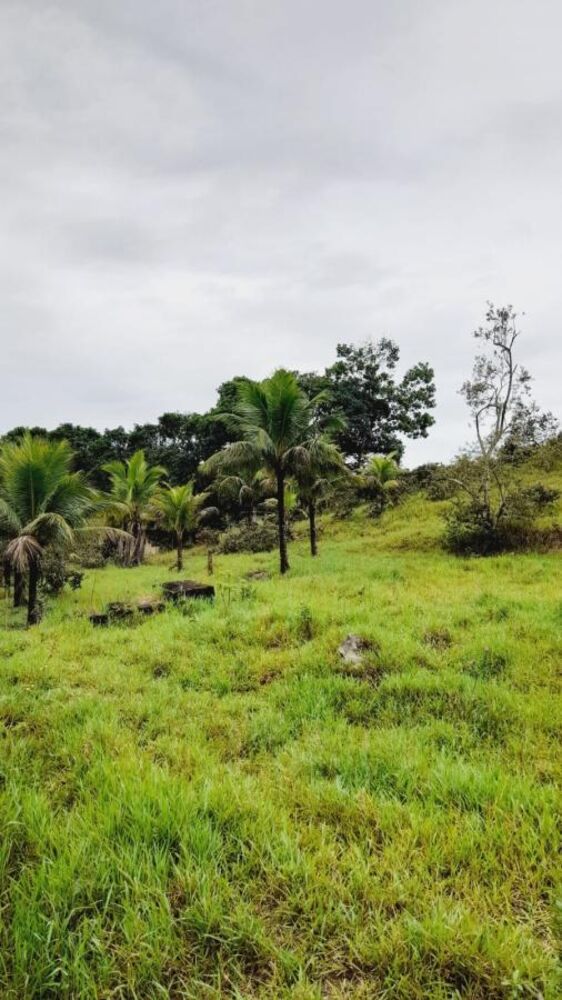 Sítio à venda com 4 quartos, 45000m² - Foto 5