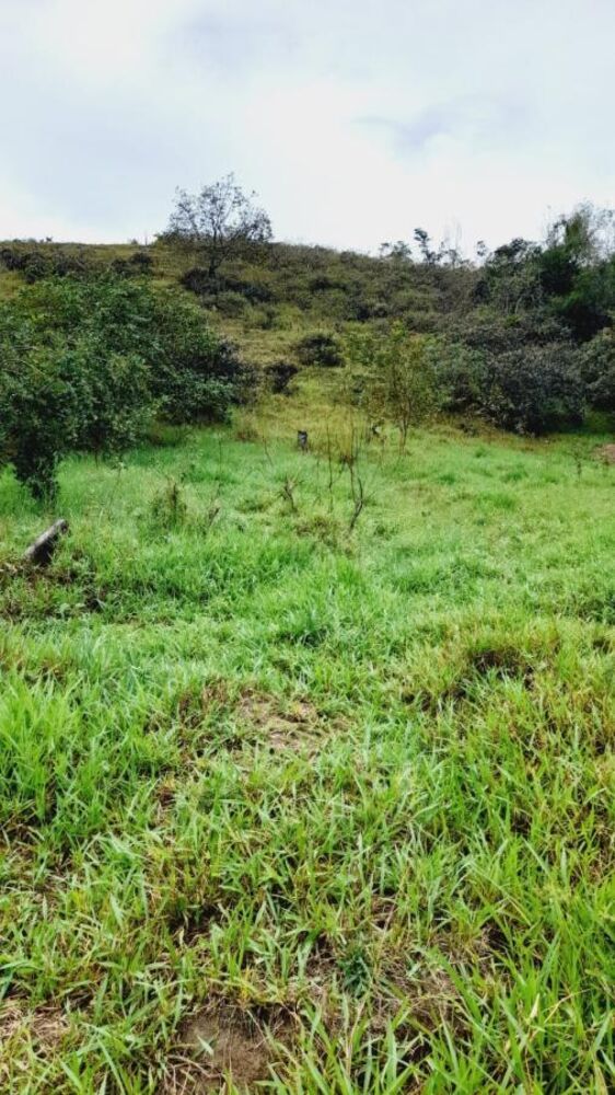Sítio à venda com 4 quartos, 45000m² - Foto 9