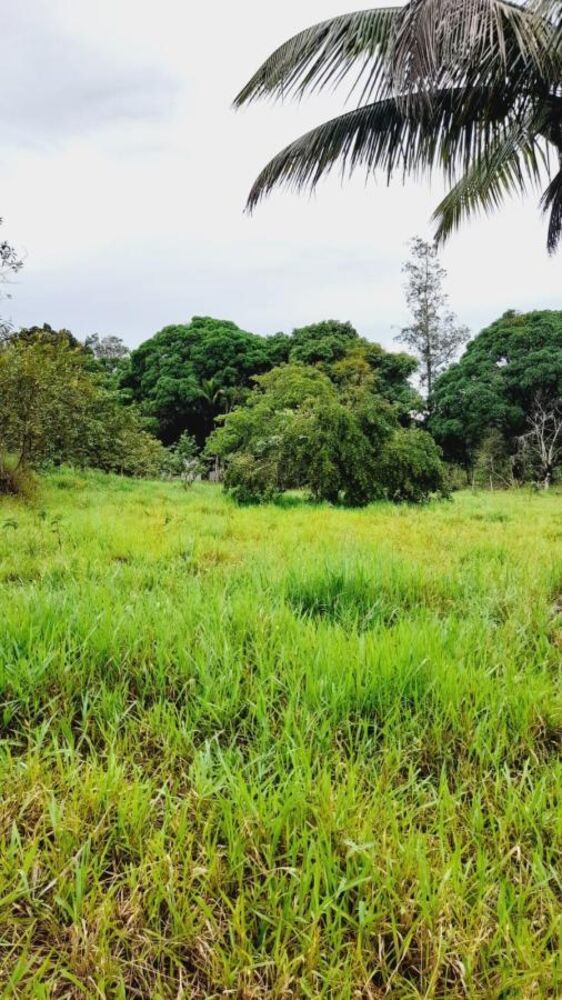 Sítio à venda com 4 quartos, 45000m² - Foto 10