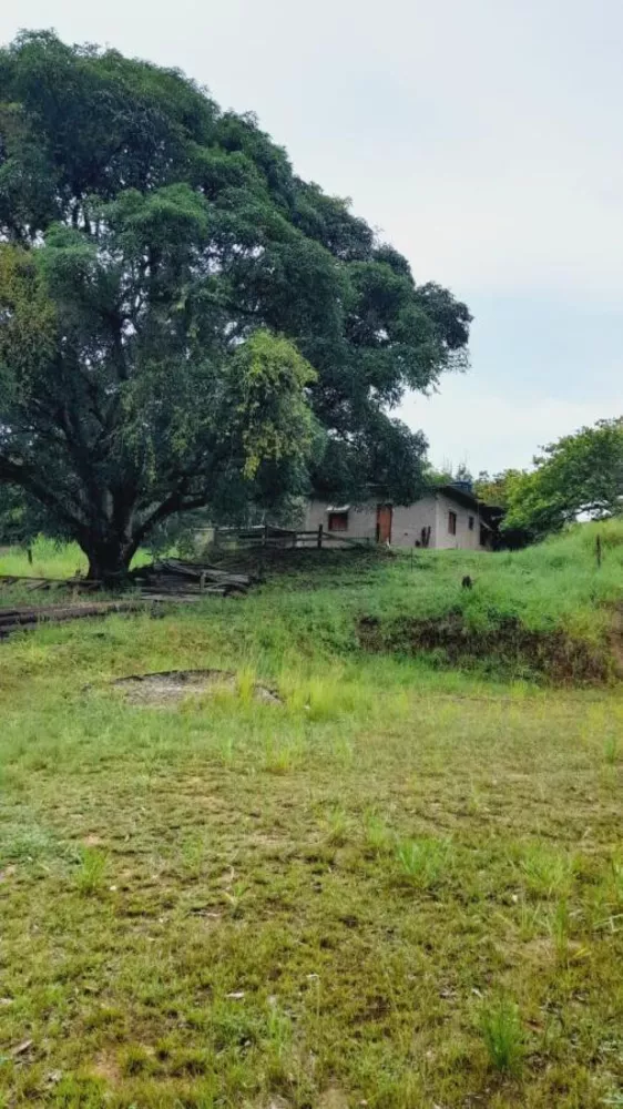 Sítio, 4 quartos, 5 hectares - Foto 4