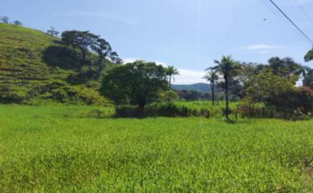 Sítio à venda com 2 quartos, 47000m² - Foto 14