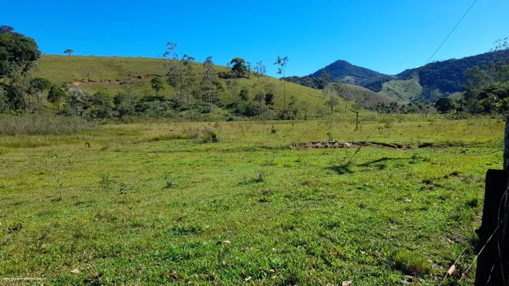 Sítio, 10 hectares - Foto 16