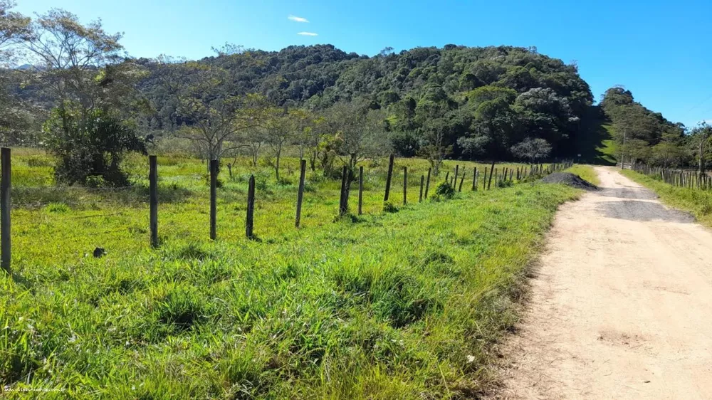 Sítio, 10 hectares - Foto 4