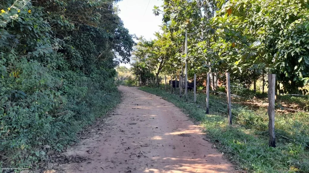 Sítio, 10 hectares - Foto 22