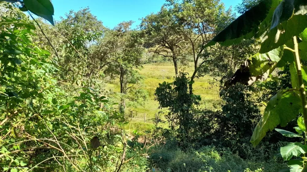 Sítio, 10 hectares - Foto 15