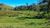 Sítio, 10 hectares - Foto 4