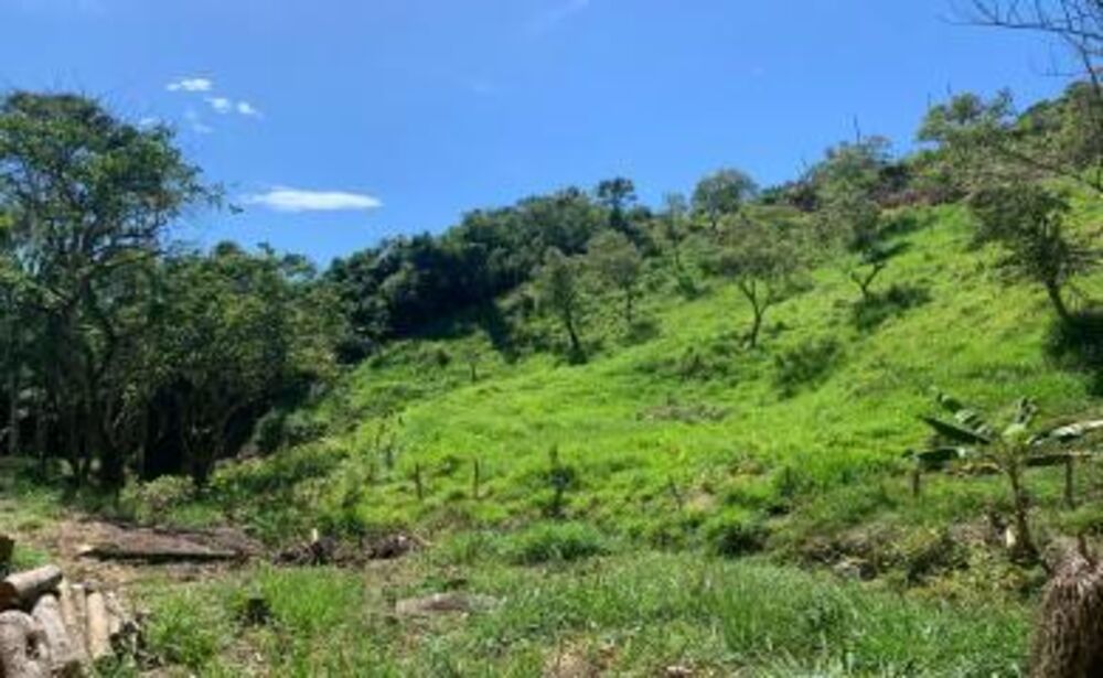 Sítio, 1 quarto, 21 hectares - Foto 7