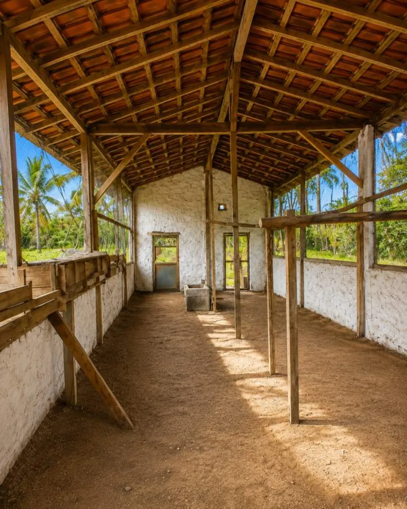 Sítio, 3 quartos, 12 hectares - Foto 43