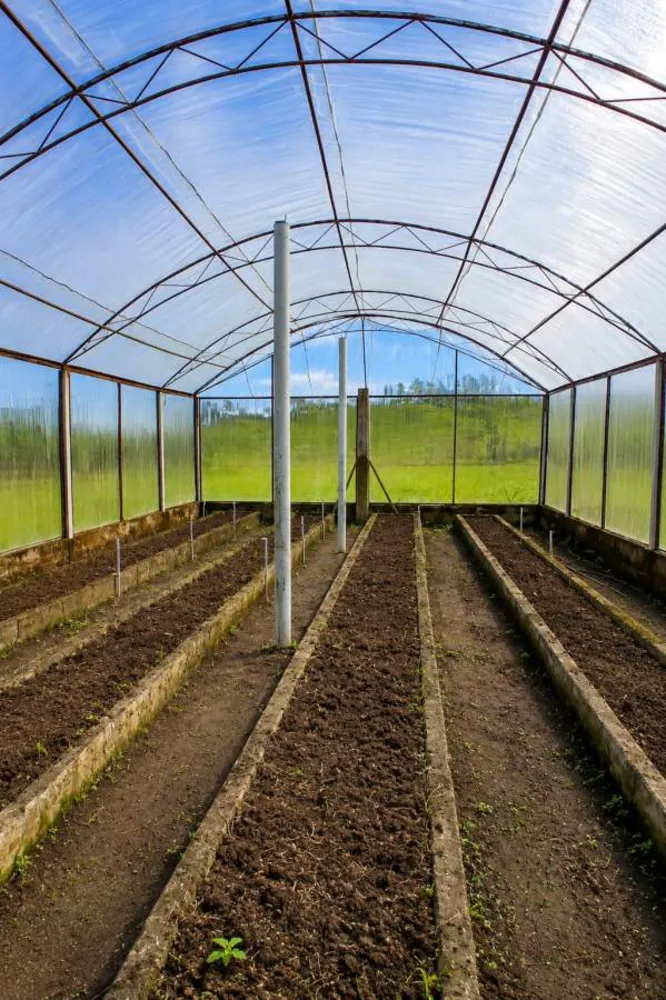 Sítio, 3 quartos, 12 hectares - Foto 42