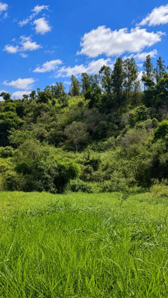 Sítio, 3 quartos, 12 hectares - Foto 35