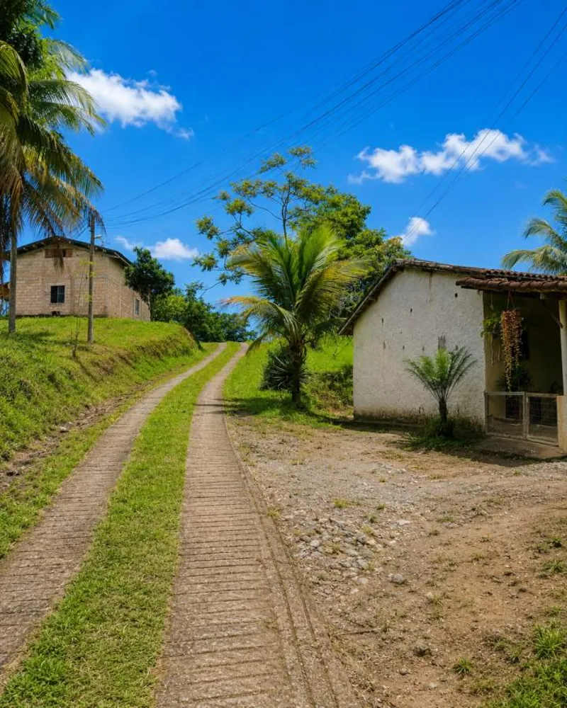 Sítio, 3 quartos, 12 hectares - Foto 28