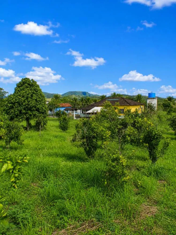 Sítio, 3 quartos, 12 hectares - Foto 31