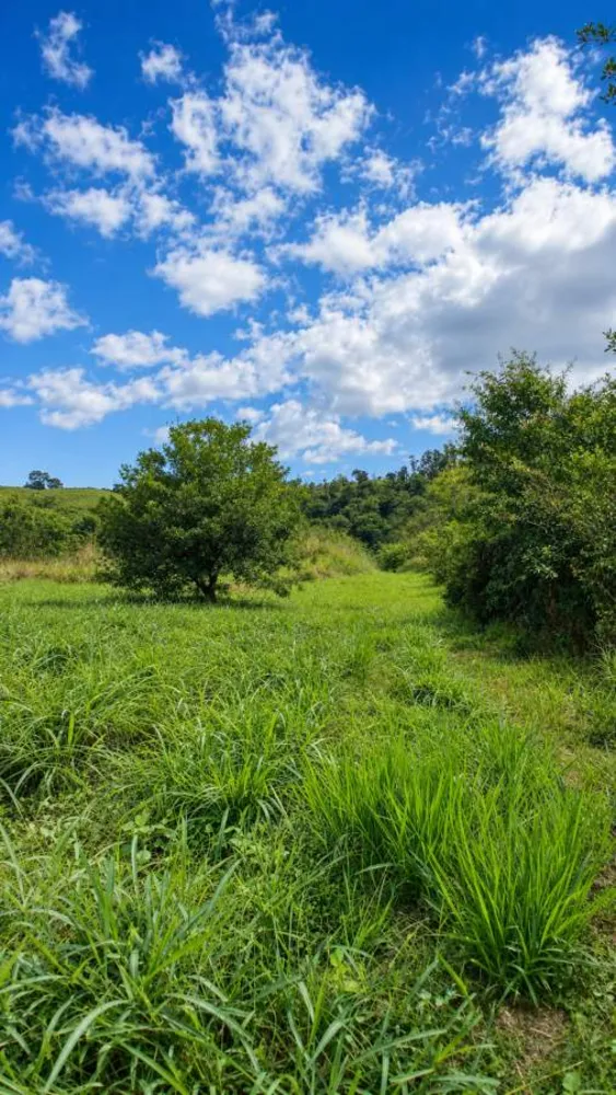 Sítio, 3 quartos, 12 hectares - Foto 38
