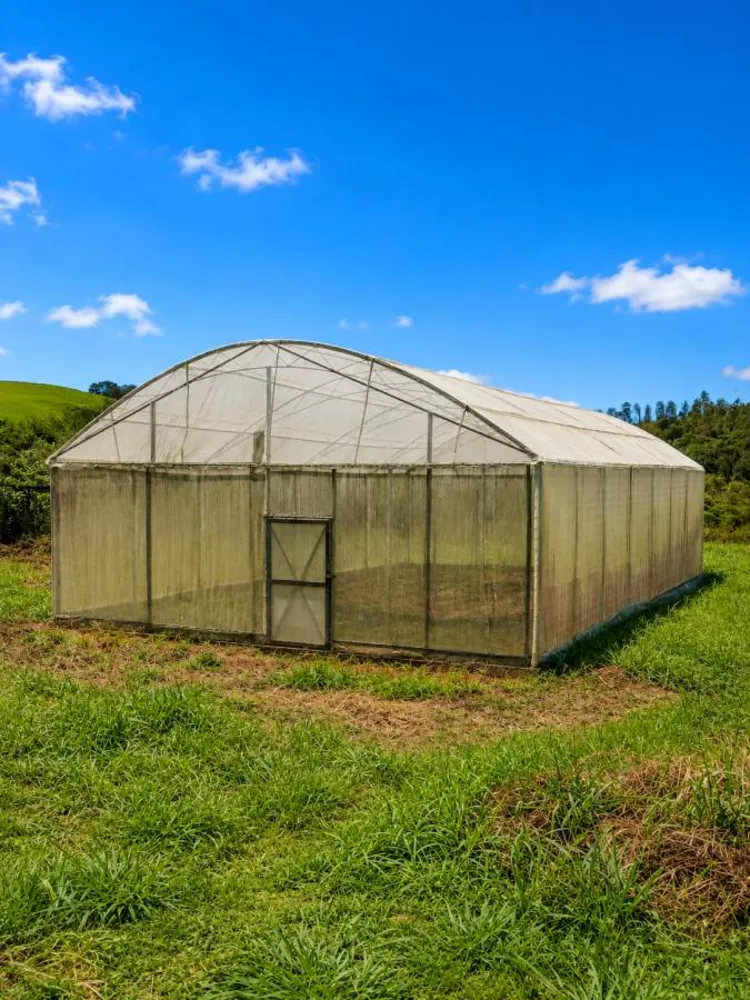 Sítio, 3 quartos, 12 hectares - Foto 41