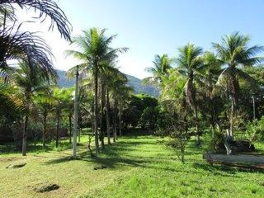Chácara, 2 quartos, 3300 m² - Foto 1