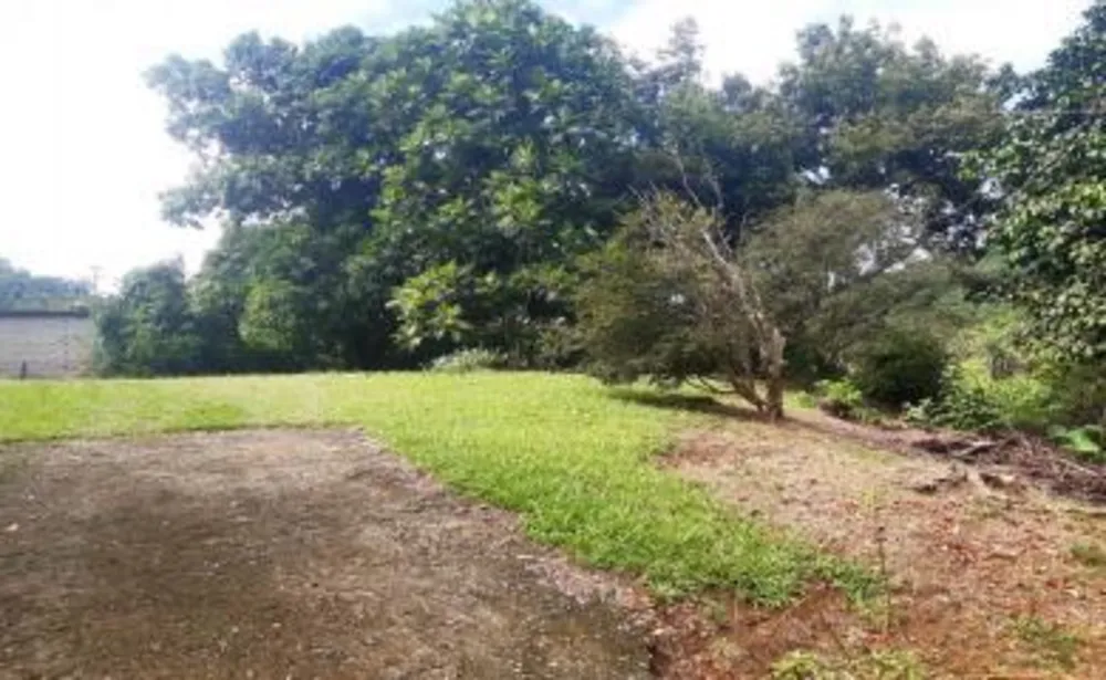 Chácara, 2 quartos, 3300 m² - Foto 10