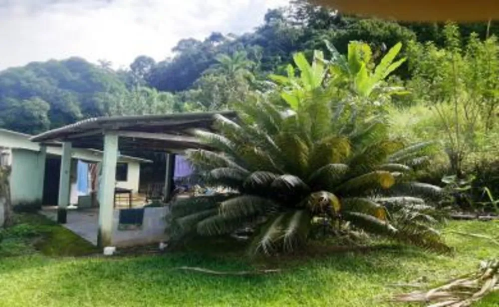 Chácara, 2 quartos, 3300 m² - Foto 4