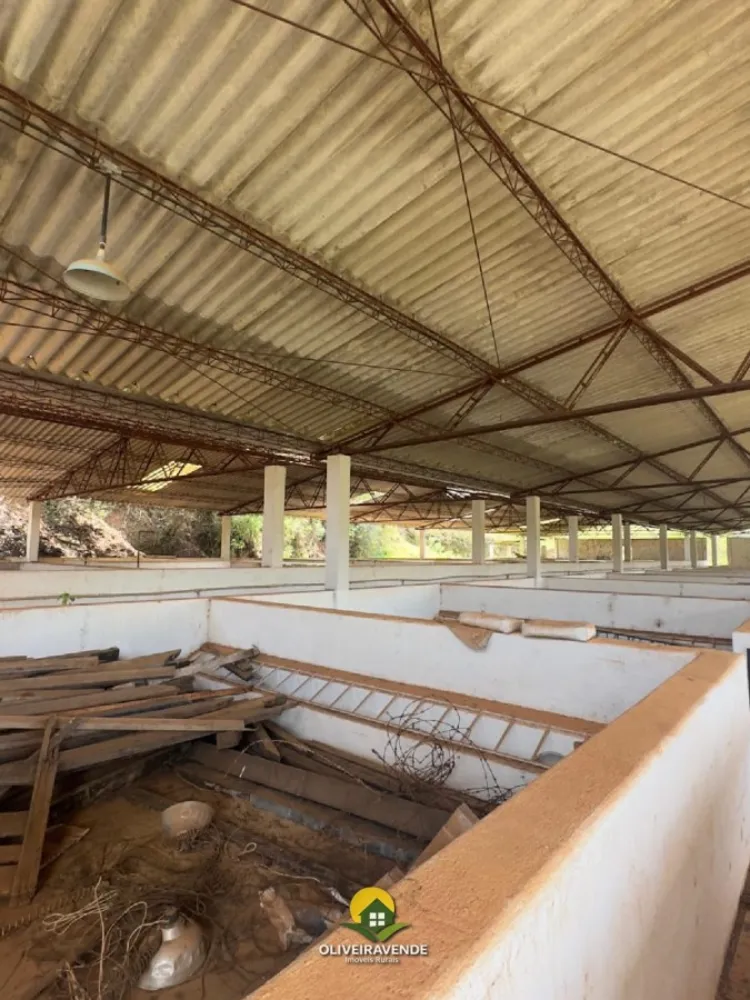 Fazenda, 880 m² - Foto 8