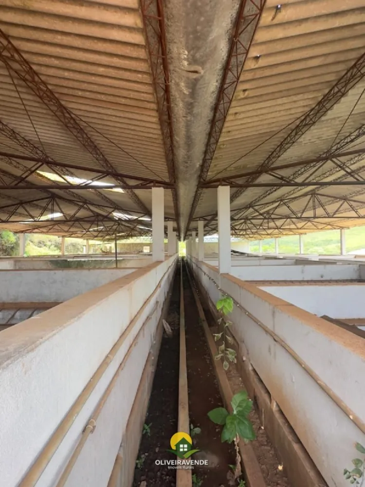 Fazenda, 880 m² - Foto 2
