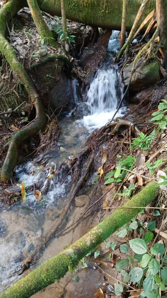 Terreno, 540 m² - Foto 23