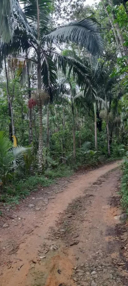 Terreno, 540 m² - Foto 7