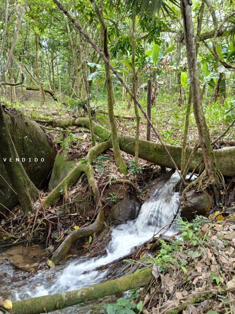 Terreno, 540 m² - Foto 28