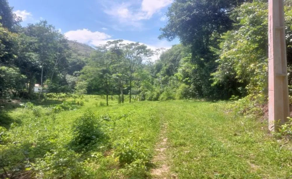Chácara, 2 quartos, 19 hectares - Foto 3