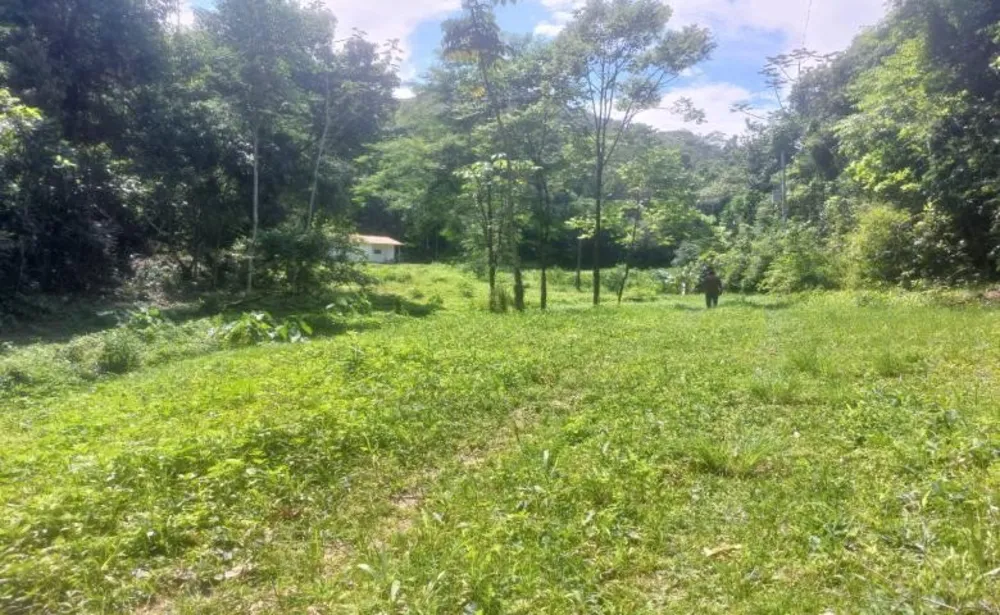Chácara, 2 quartos, 19 hectares - Foto 10