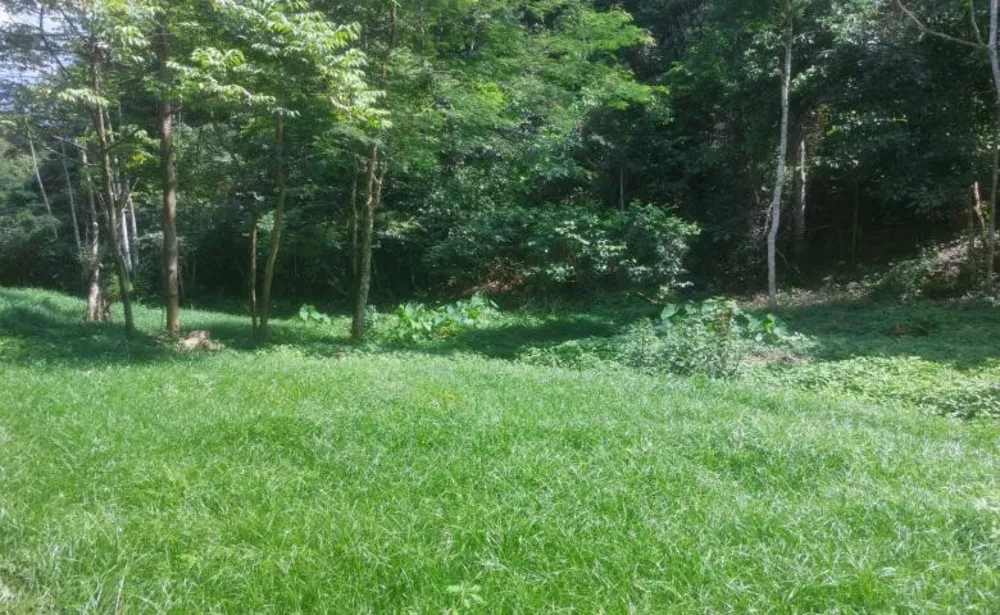 Chácara, 2 quartos, 19 hectares - Foto 4