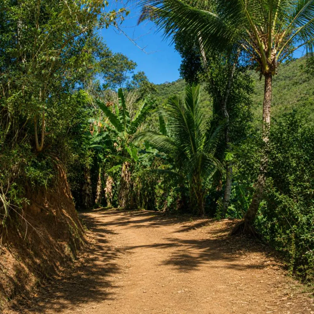 Fazenda, 9 hectares - Foto 4