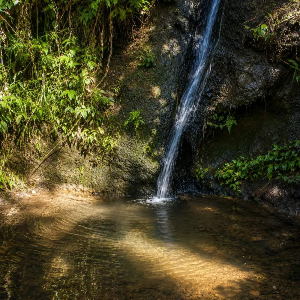 Fazenda, 9 hectares - Foto 1