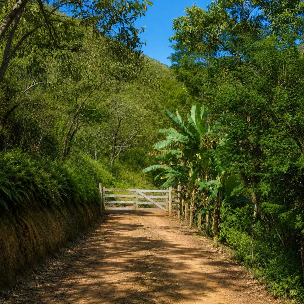 Fazenda, 9 hectares - Foto 3