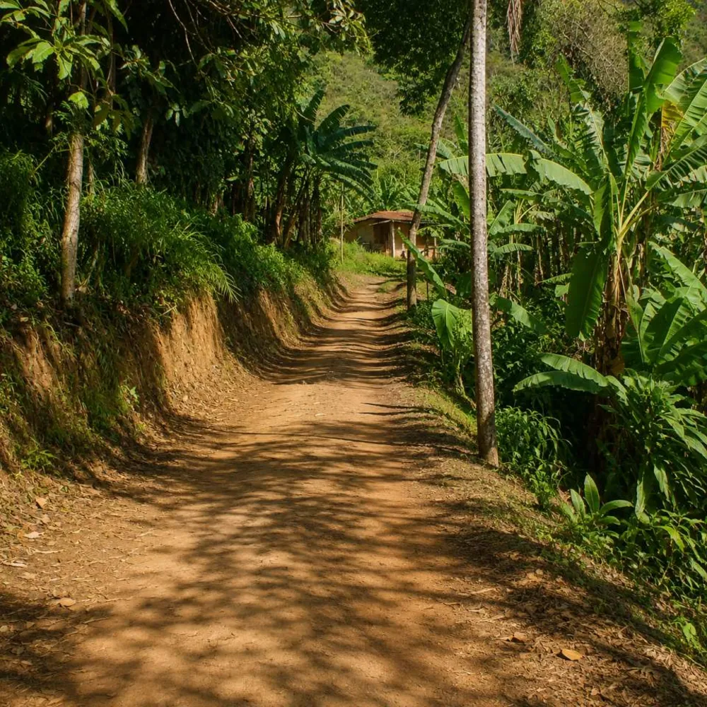 Fazenda, 9 hectares - Foto 6