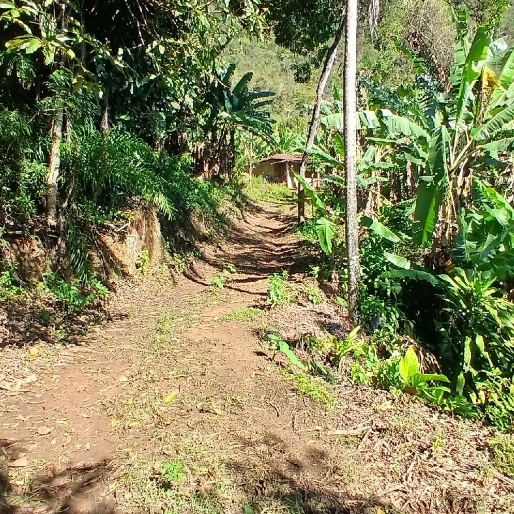 Sítio, 2 quartos, 9 hectares - Foto 23