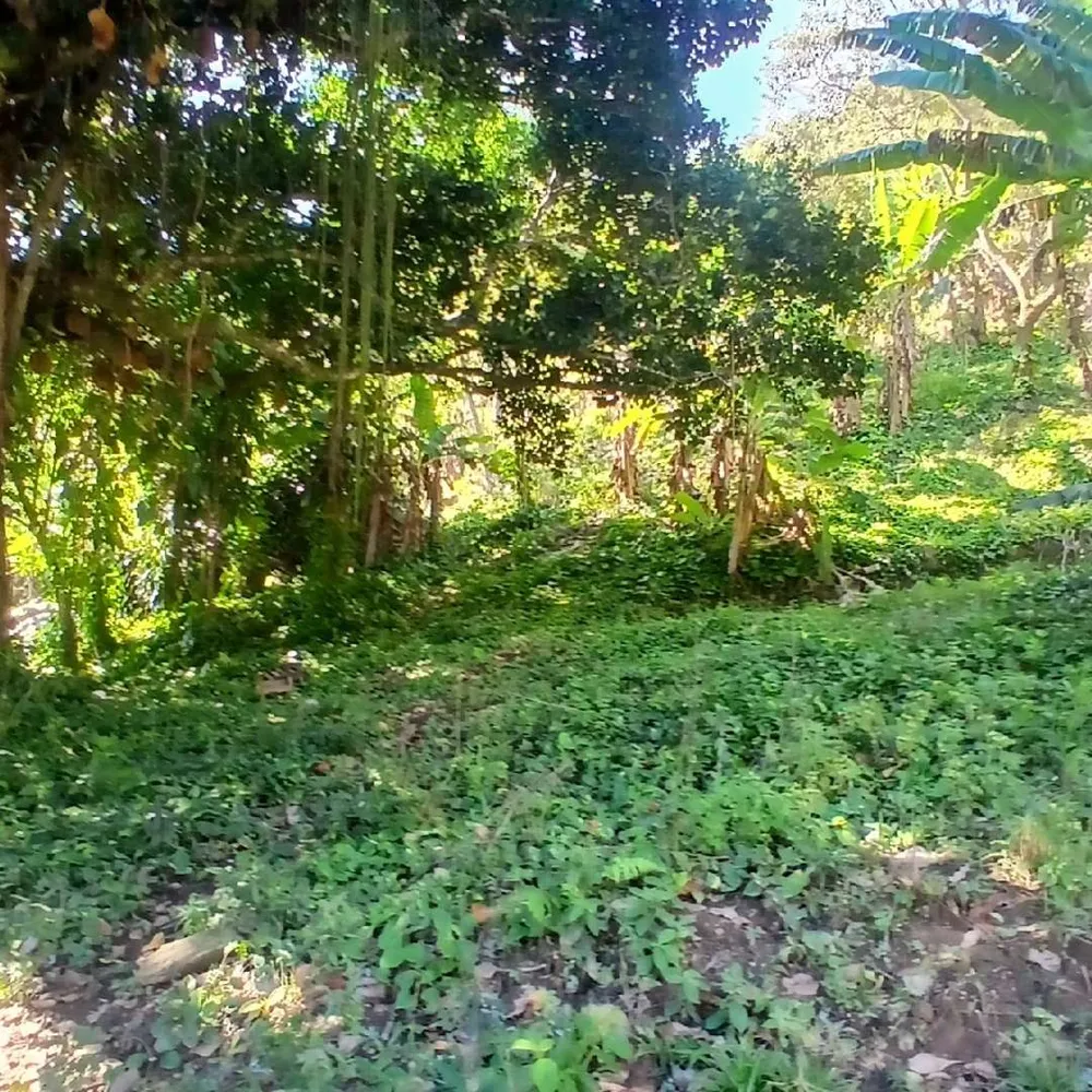 Sítio, 2 quartos, 9 hectares - Foto 34