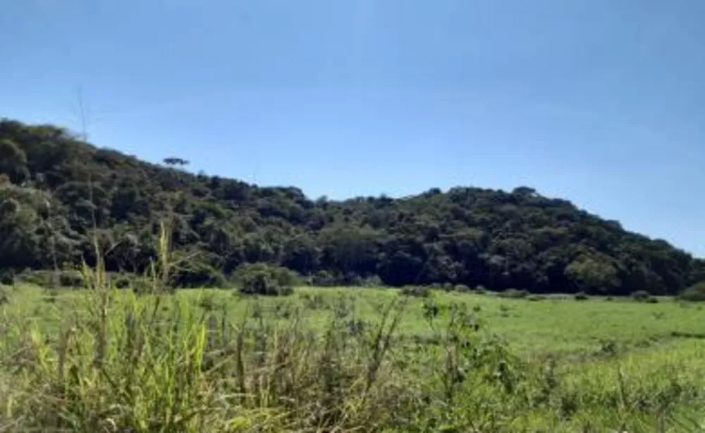Fazenda, 43 m² - Foto 5