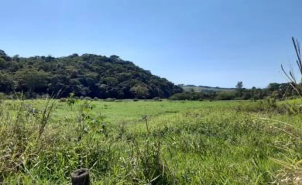 Fazenda, 43 m² - Foto 7