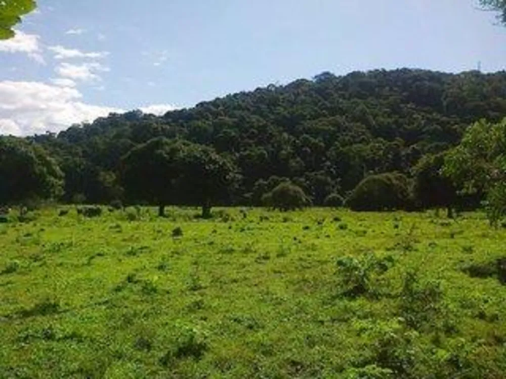 Fazenda, 43 m² - Foto 23