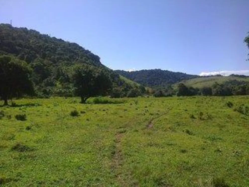 Fazenda, 43 m² - Foto 4