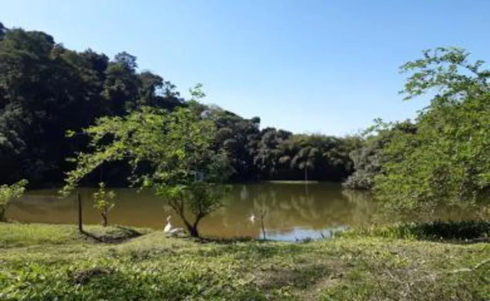 Fazenda, 43 m² - Foto 16