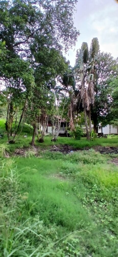 Sítio, 3 quartos, 1 hectares - Foto 14