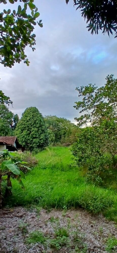 Sítio, 3 quartos, 1 hectares - Foto 19