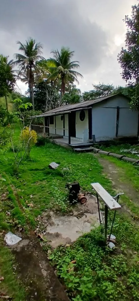 Sítio, 3 quartos, 1 hectares - Foto 1