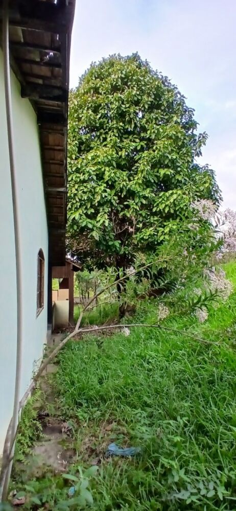 Sítio, 3 quartos, 1 hectares - Foto 12