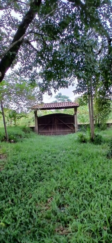 Sítio, 3 quartos, 1 hectares - Foto 9